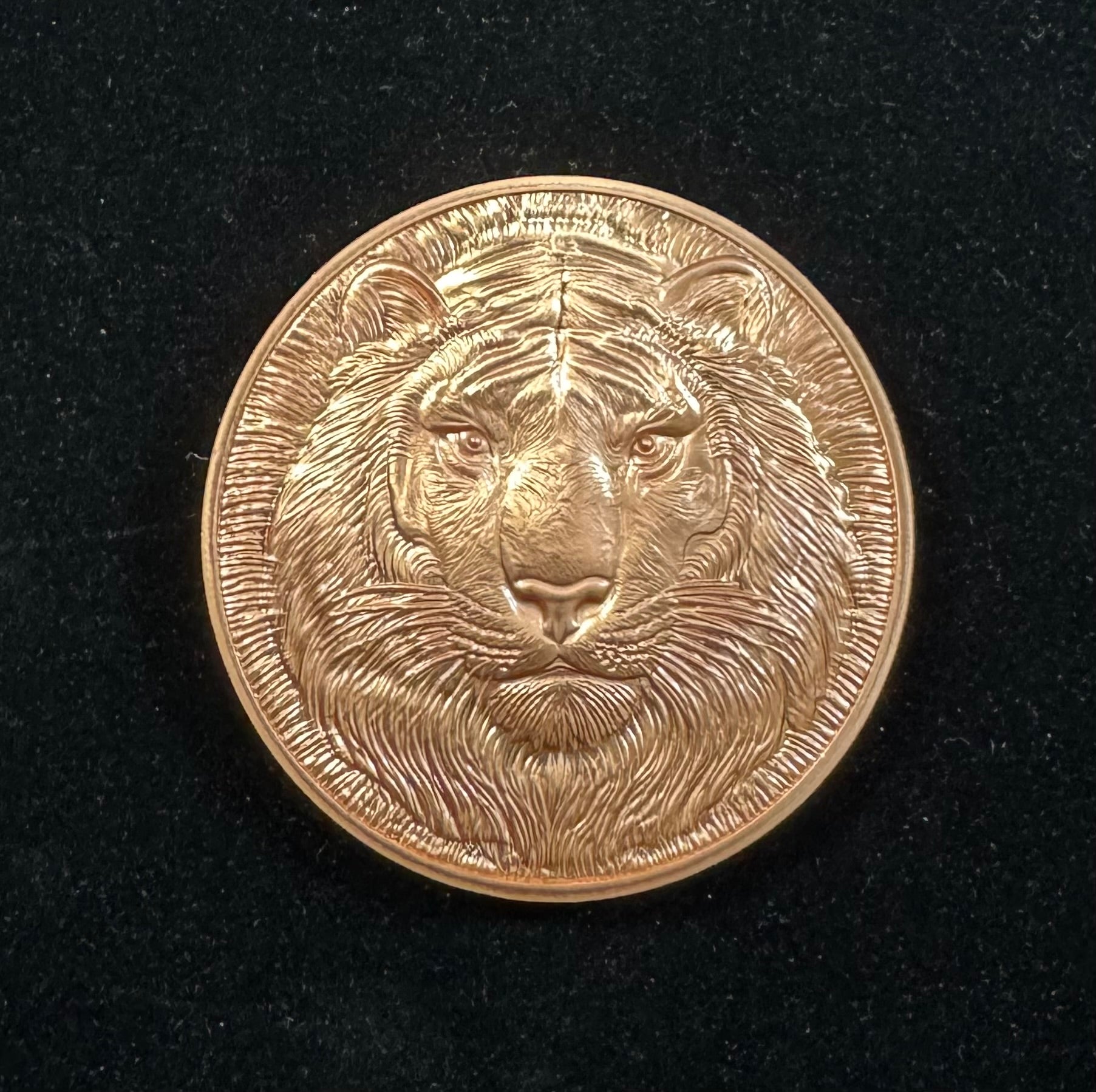 2025 5oz Nature's Tiger Ultra High Relief Copper Round Encapsulate￼