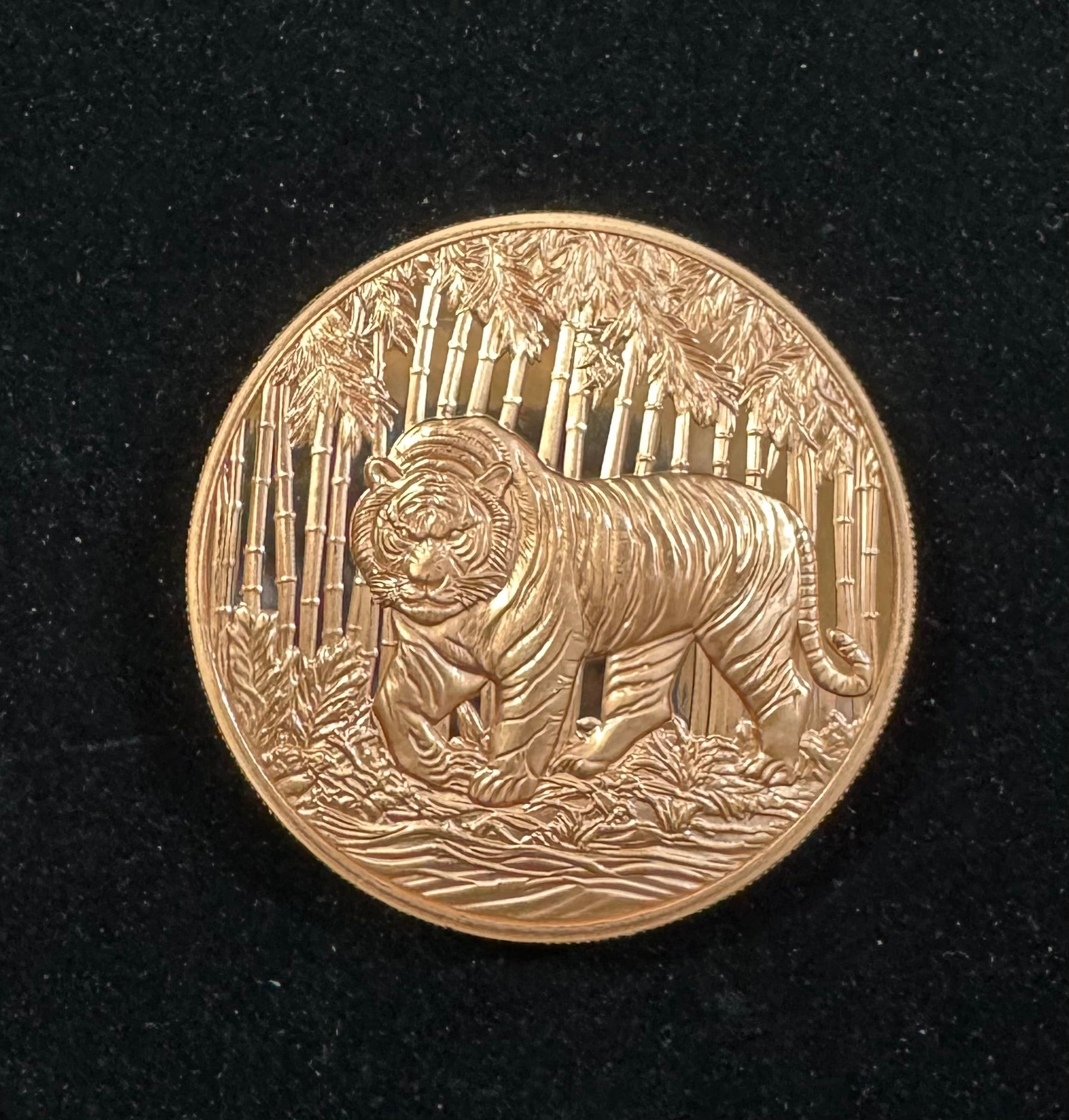 2025 5oz Nature's Tiger Ultra High Relief Copper Round Encapsulate￼