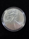 2013 AMERICAN SILVER EAGLE DOLLAR COIN 1 OZ. 999 PURE FINE SILVER BULLION + CASE