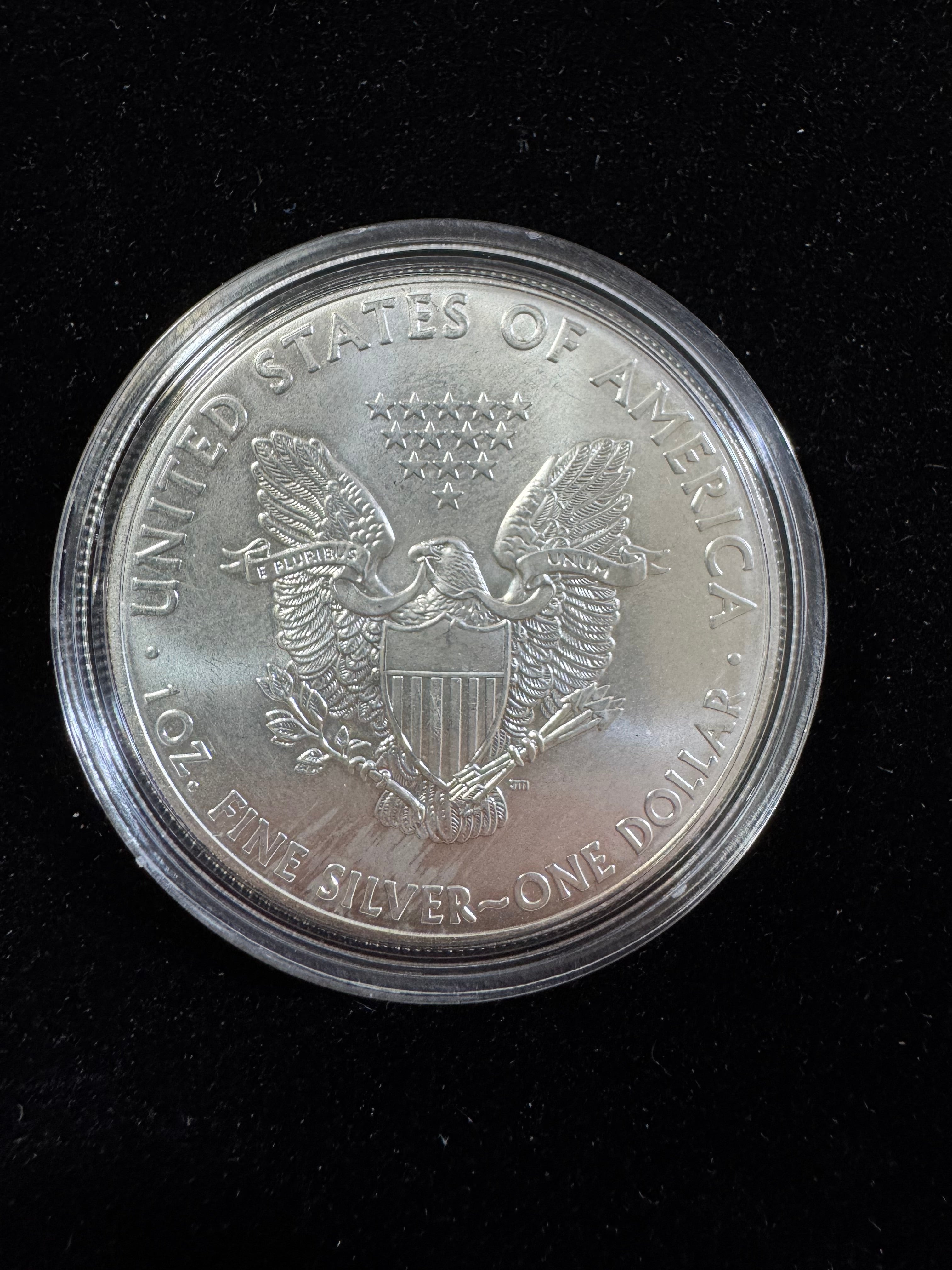 2013 AMERICAN SILVER EAGLE DOLLAR COIN 1 OZ. 999 PURE FINE SILVER BULLION + CASE