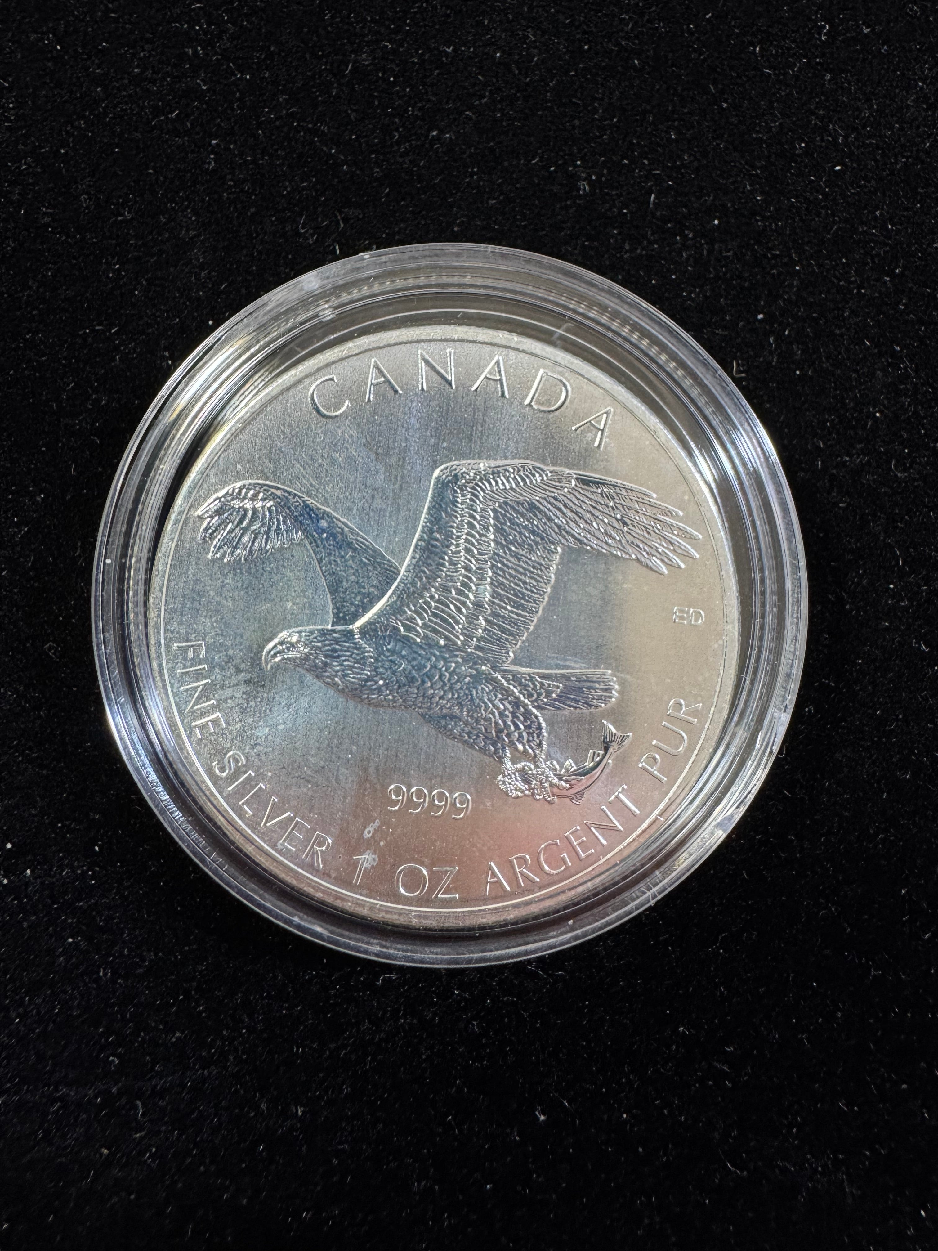 2014 CANADA UK Queen Elizabeth II BALD EAGLE Wildlife 1OZ Silver $5 Coin